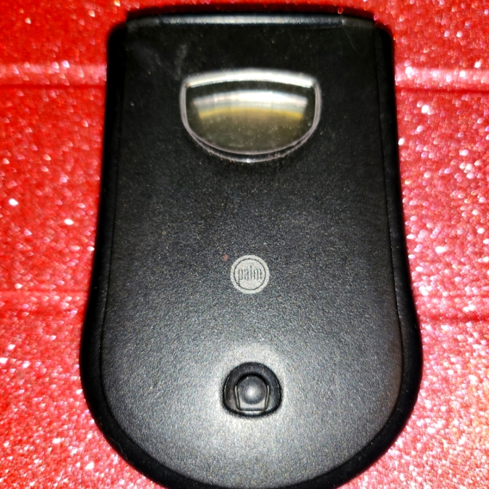 Palm pilot